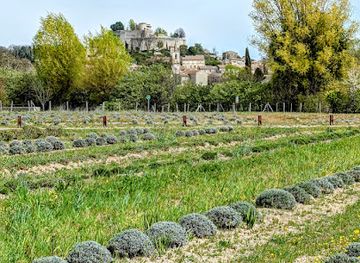 france/provence/attraction/salagon-museum-and-gardens