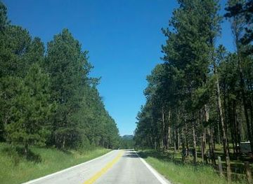 south-dakota/custer/attraction/norbeck-wildlife-preserve