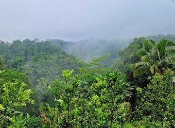 indonesia/bali/attraction/oka-agriculture-bali