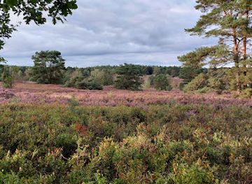 germany/lüneburg-heath/attraction/busenbachtal