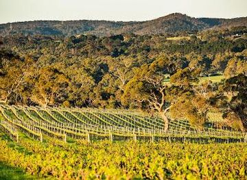 australia/adelaide/attraction/yangarra-estate-vineyard