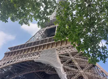 Vedettes de Paris