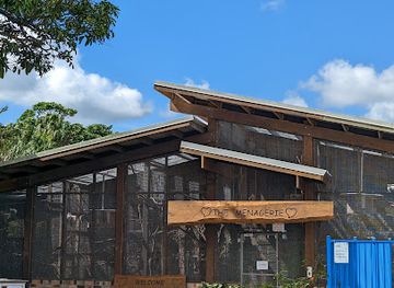 australia/whitsunday-islands/attraction/whitsunday-gold-coffee