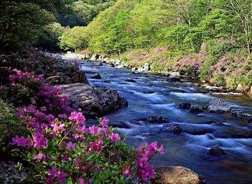 south-korea/jirisan-national-park/attraction/Dalgung-gyeok