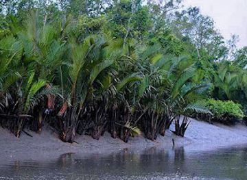 bangladesh/sundarbans-national-park/attraction/sundarban-national-park-bangladesh