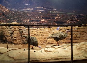 colorado/denver/attraction/history-colorado-center