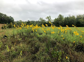 iowa/corn-belt/attraction/lime-creek-nature-center