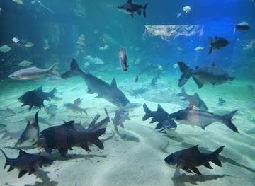 cambodia/siem-reap/attraction/angkor-wildlife-aquarium