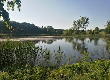 czechia/north-moravia/attraction/zebetinsky-rybnik