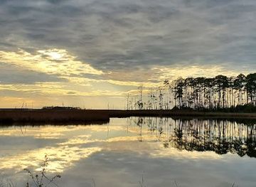 maryland/blackwater-national-wildlife-refuge/attraction/wildlife-drive-photo-blind