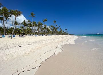 dominican-republic/bavaro/attraction/fotopoint-palme