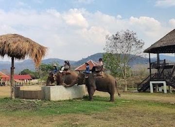 laos/luang-prabang/attraction/luang-prabang-elephants-camp