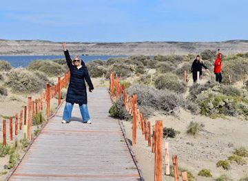 argentina/puerto-madryn/attraction/puerto-piramides