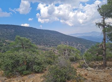 cyprus/limassol-district/attraction/pouziaris-natural-trail