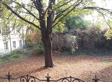 hungary/sopron-wine-region/attraction/kulso-varosfal-egy-resze