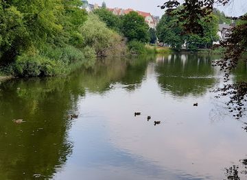 poland/szczecin/attraction/botanical-garden-in-szczecin