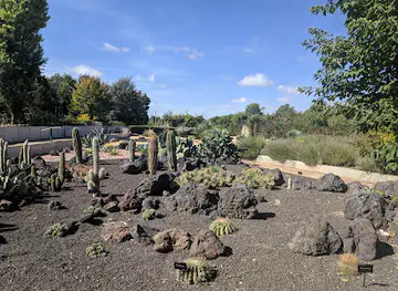 Jardín Botánico de Castilla-La Mancha