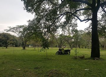 kenya/kisumu/attraction/jamhuri-victoria-park