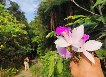 malaysia/kuala-lumpur/attraction/gunung-bunga-buah