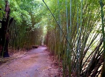 argentina/buenos-aires/attraction/monte-blanco-county-reserve