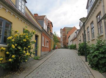 denmark/funen/attraction/washing-site-at-odense-river