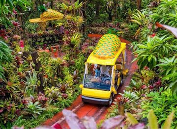 japan/okinawa/attraction/nago-pineapple-park