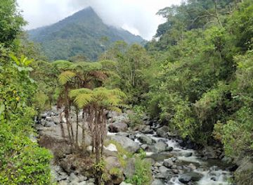 colombia/tayrona-national-natural-park/attraction/farallones-national-natural-park