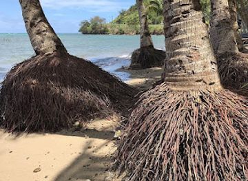 kiribati/kiritimati/attraction/torben-s-beach