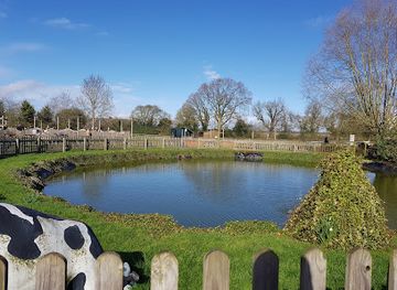 united-kingdom/buckinghamshire/attraction/odds-farm-park