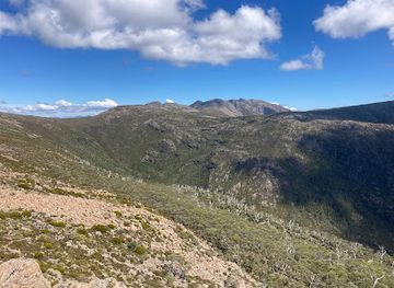 australia/mount-field-national-park/attraction/the-watcher