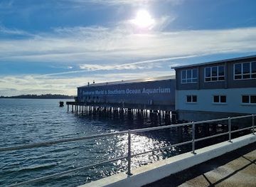 australia/south-west/attraction/seahorse-world