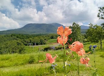 japan/higo/attraction/higotai-park