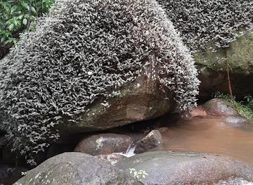 brazil/ilha-grande/attraction/cachoeira-do-bicao