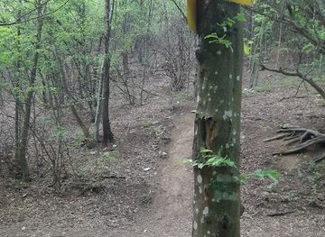 bulgaria/shumen/attraction/razklon-hankrumovski-skalen-manastir