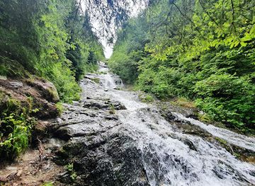 romania/hunedoara/attraction/cascada-rausor