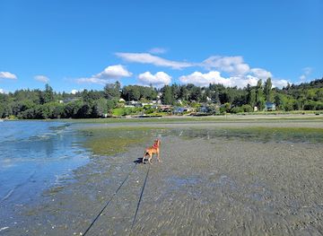 washington/federal-way/attraction/dumas-bay-sanctuary