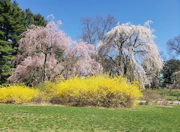 new-york/leatherstocking-region/attraction/hart-s-brook-park-and-preserve