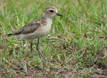 south-africa/isimangaliso-wetland-park/attraction/mpempe-pan