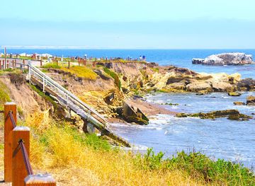 california/pismo-beach/attraction/eldwayen-ocean-park