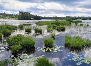 sweden/blekinge/attraction/glasrikets-algpark-ab