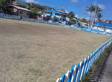 saint-lucia/vieux-fort/attraction/youngfaith-park