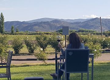 chile/colchagua-valley/attraction/vina-la-posada