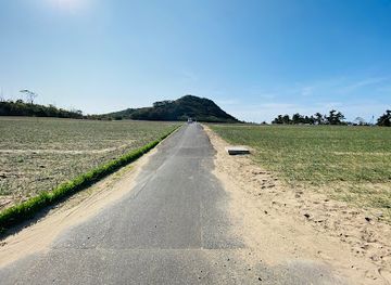 japan/tottori-sand-dunes/attraction/yuyama-district-scallion-field