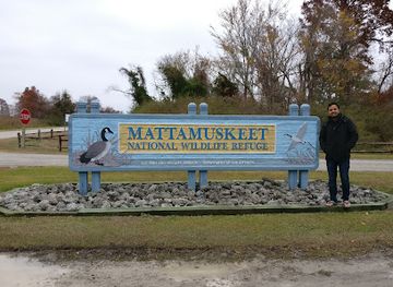 north-carolina/albemarle-pamlico-peninsula/attraction/mattamuskeet-national-wildlife-refuge