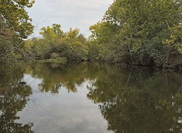 arkansas/russellville/attraction/skeleton-island