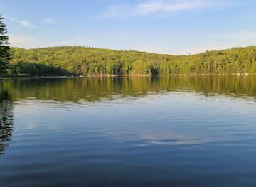 vermont/upper-valley/attraction/boston-lot