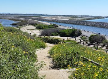 california/huntington-beach/attraction/bolsa-chica-state-beach