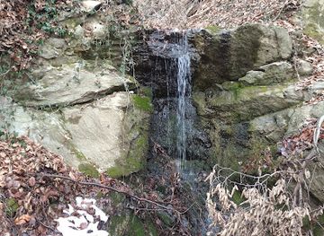 serbia/fruska-gora-national-park/attraction/crni-vodopad-grabovacki