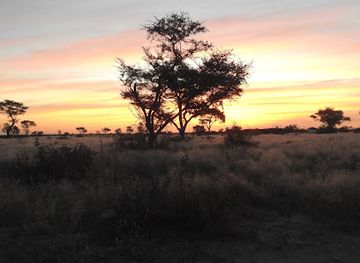 south-africa/kgalagadi-transfrontier-park/attraction/khutse-game-reserve