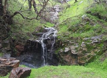 california/sequoia-national-park/attraction/hospital-rock-river-trailhead
